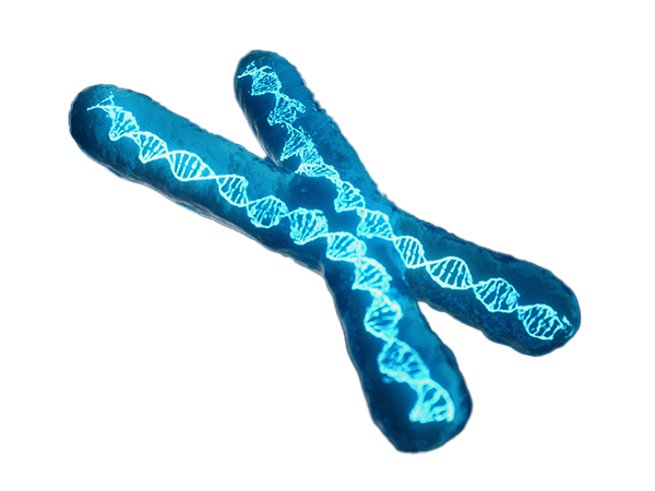 Infinity Regenerative Clinic